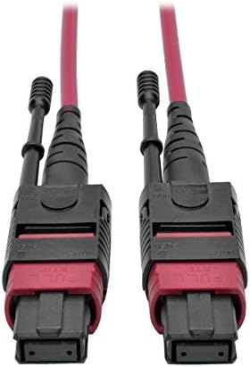 Tripp Lite 15M MTP MPO Multimode Patch Fiber Optic Cable 12 Fiber 40/100Gb OM4 50/125 CMP